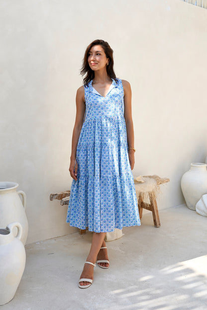 Begonia Dress in Moonlit Garden