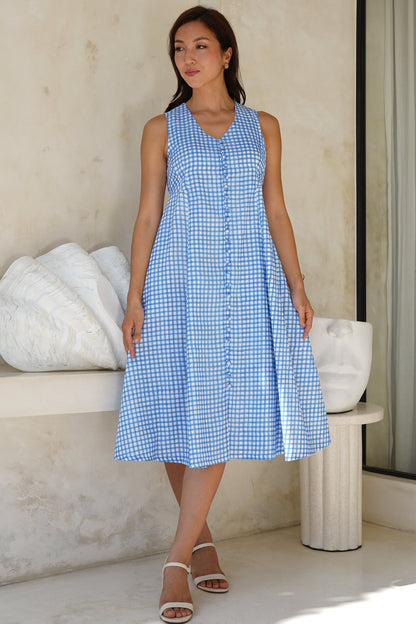 Primrose Dress in Blue Checks