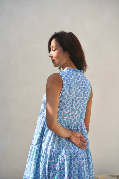Begonia Dress in Moonlit Garden