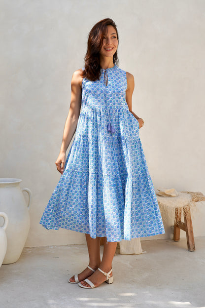 Begonia Dress in Moonlit Garden