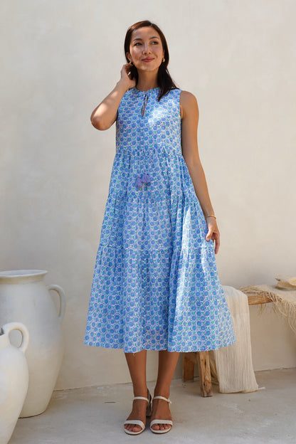 Begonia Dress in Moonlit Garden
