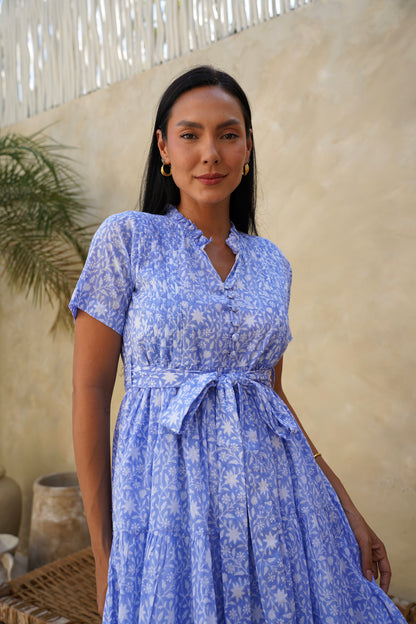 Hazel Dress in Moonlit Garden
