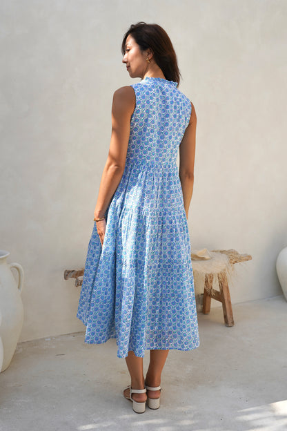 Begonia Dress in Moonlit Garden