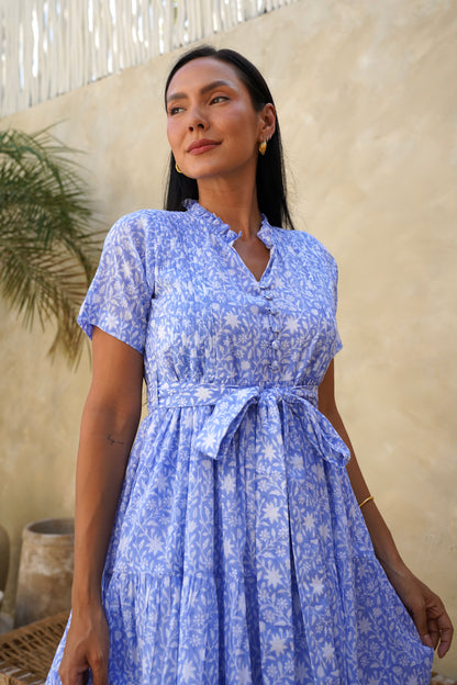 Hazel Dress in Moonlit Garden